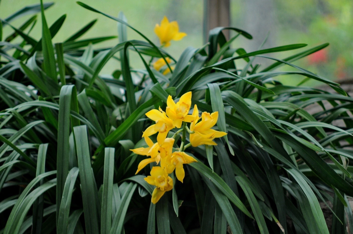 Vinpearl Land Nha Trang anh 8