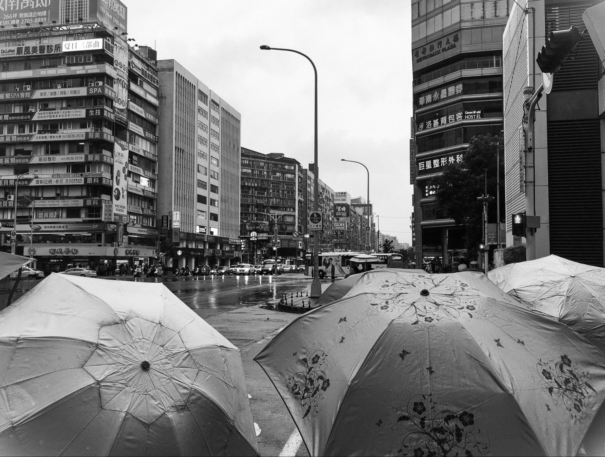 Taiwan - A Wonderful Journey anh 4