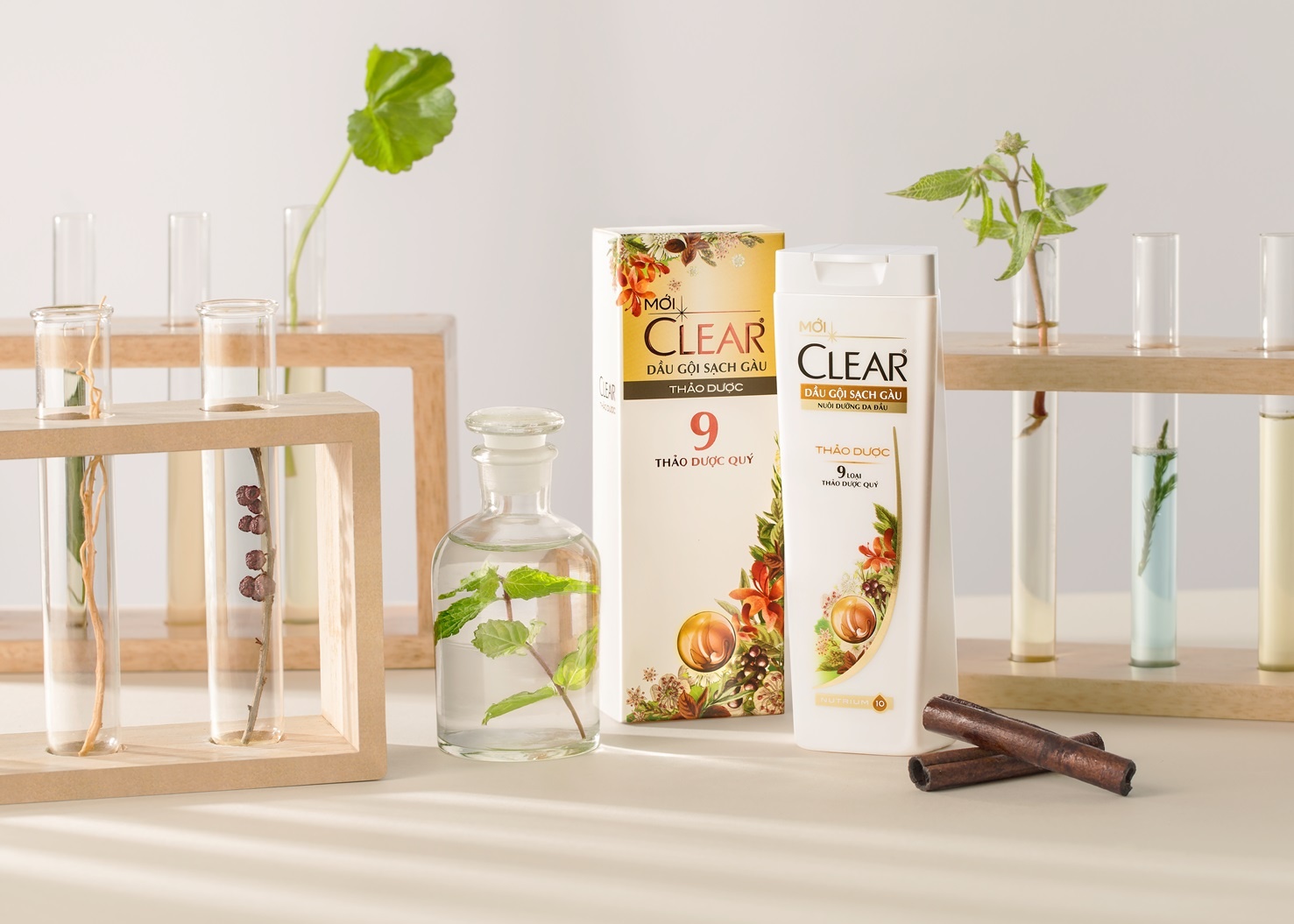 Clear Thảo Dược ảnh 5 Clear Thao Duoc anh 5