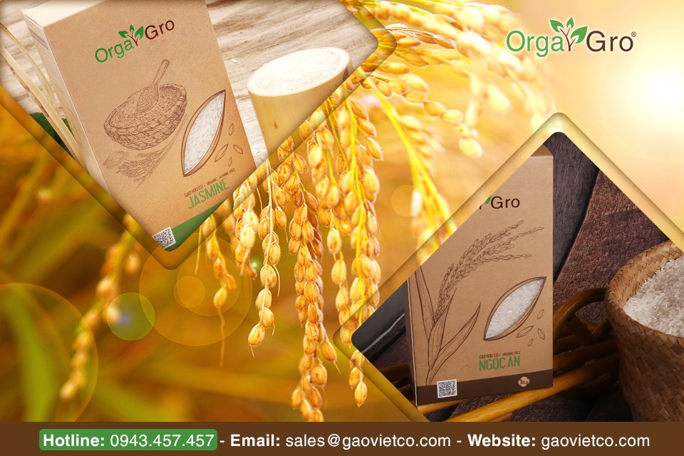 gạo Orgagro ảnh 2 gao Orgagro anh 2