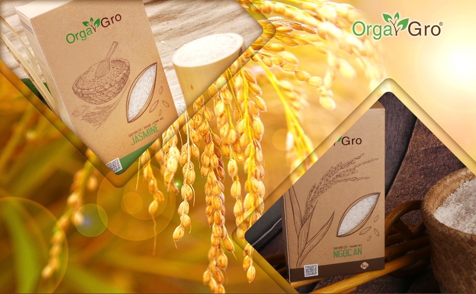 Cach chon mua gao huu co dung chuan hinh anh