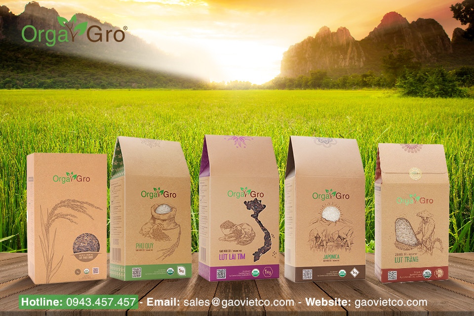 gạo Orgagro ảnh 3 gao Orgagro anh 3