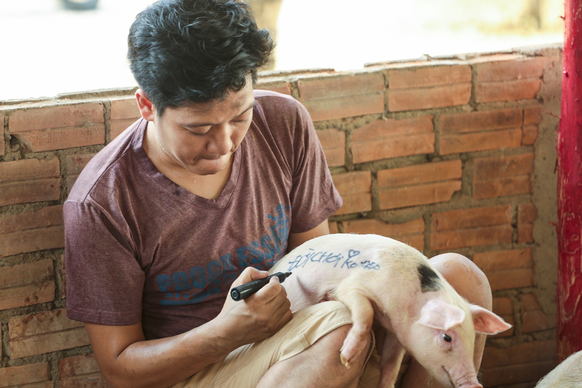 Truong Giang: 'Tet nay hay goi toi la Tung Heo' hinh anh