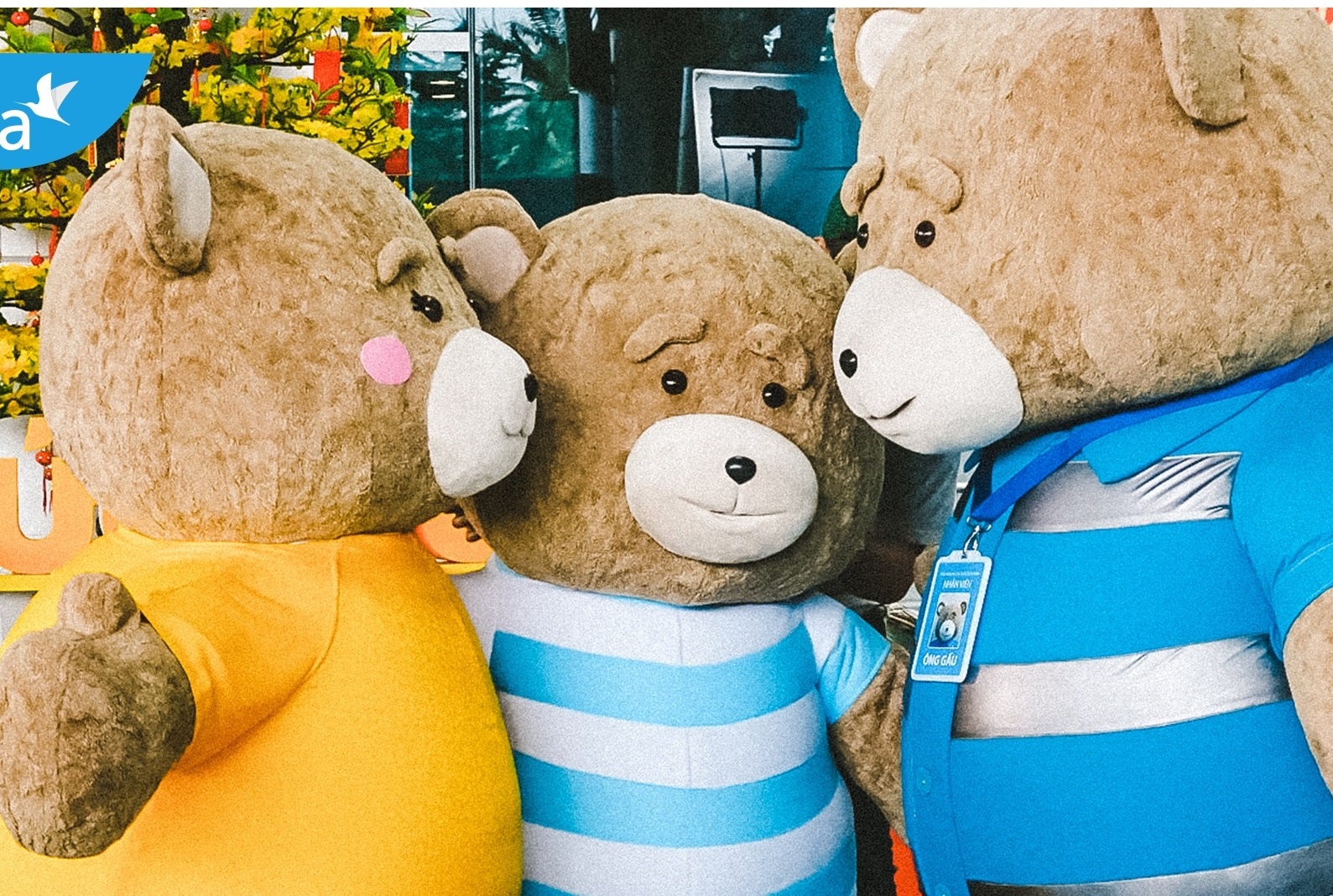 Niem vui sum vay cua gia dinh gau trong clip ngan 'Gia dinh la Tet' hinh anh