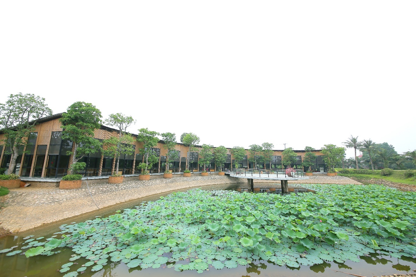 Cha ca La Vong anh 1