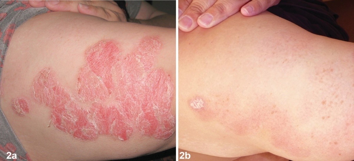 Dr Michaels ảnh 2 Dr Michaels anh 2