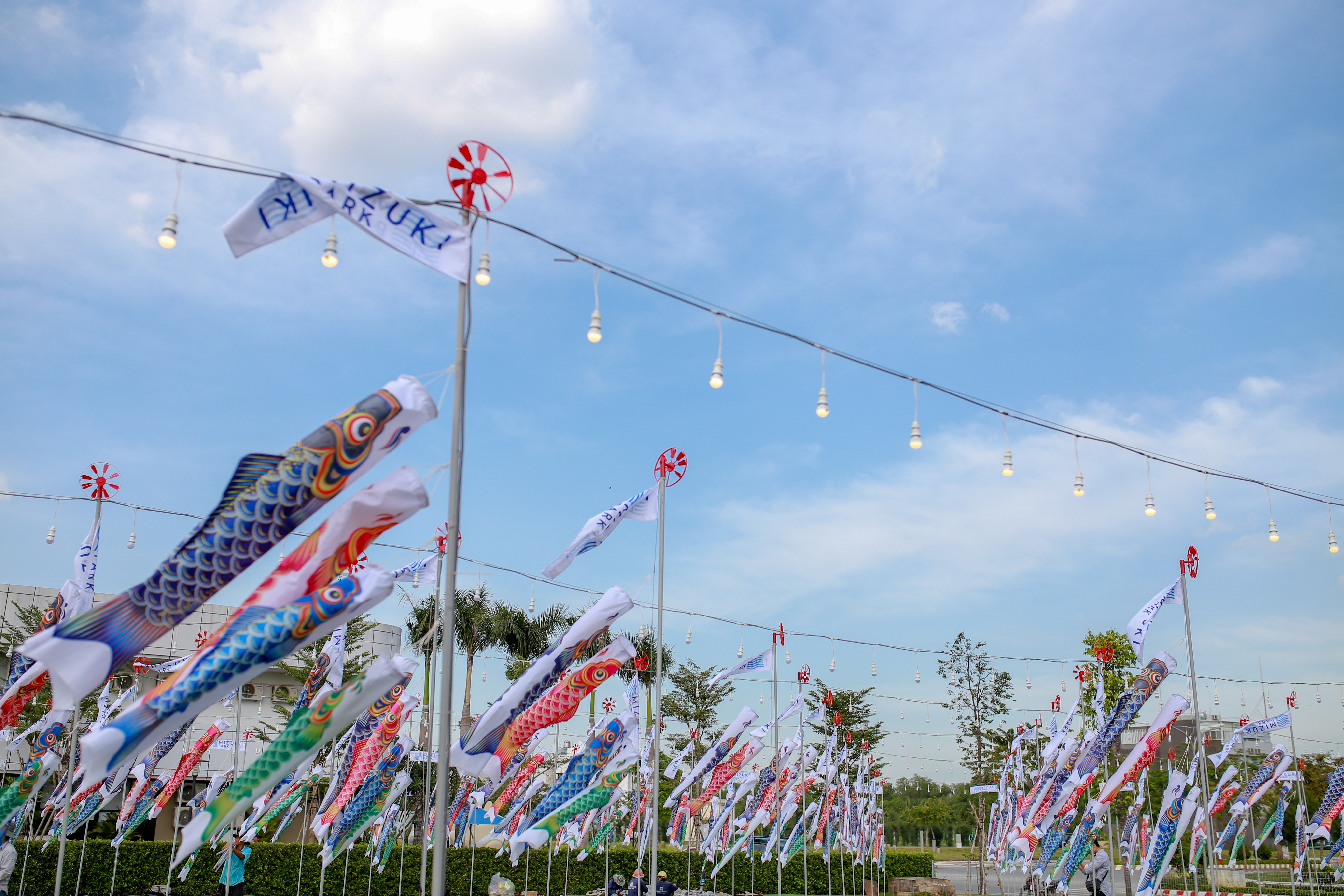 'Canh dong ca koi' thu hut gioi tre Sai Gon hinh anh