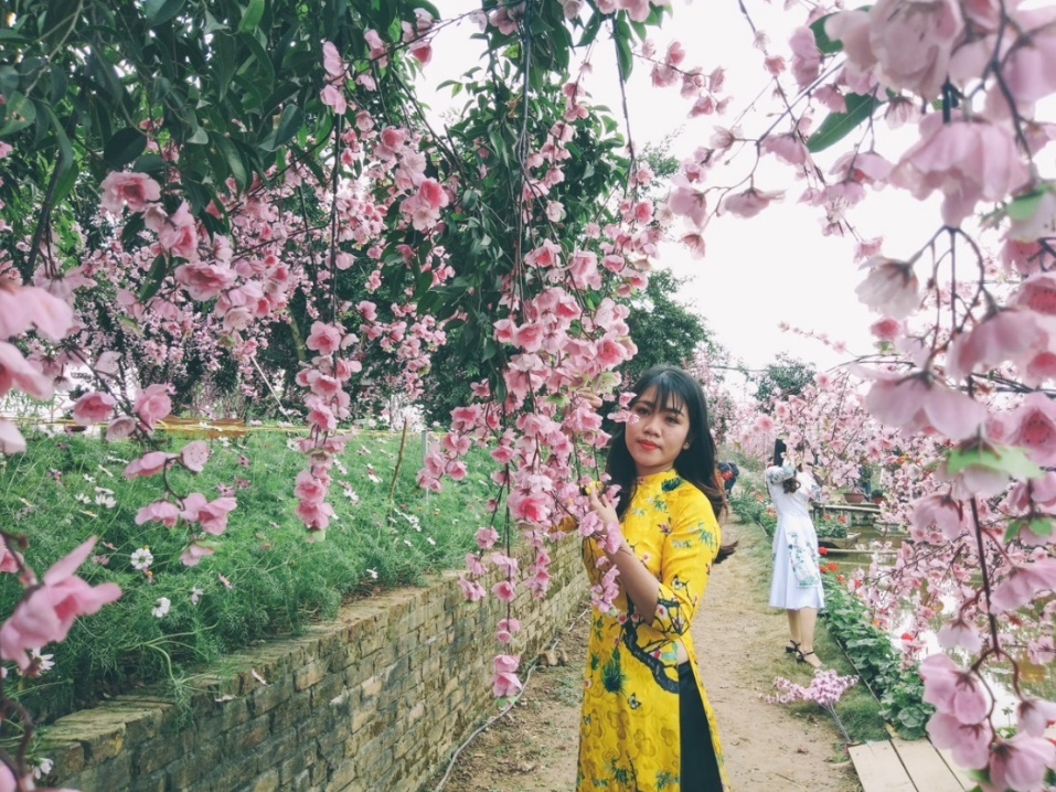 Vuon dao Nhat Tan no som, gioi tre thich thu check-in hinh anh