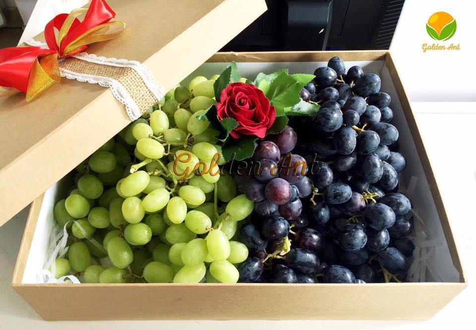 Tang gio qua trai cay Golden Ant trong dip Tet hinh anh