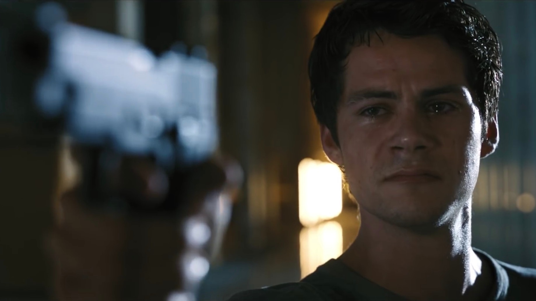 galaxy studio ảnh 3 galaxy studio anh 3