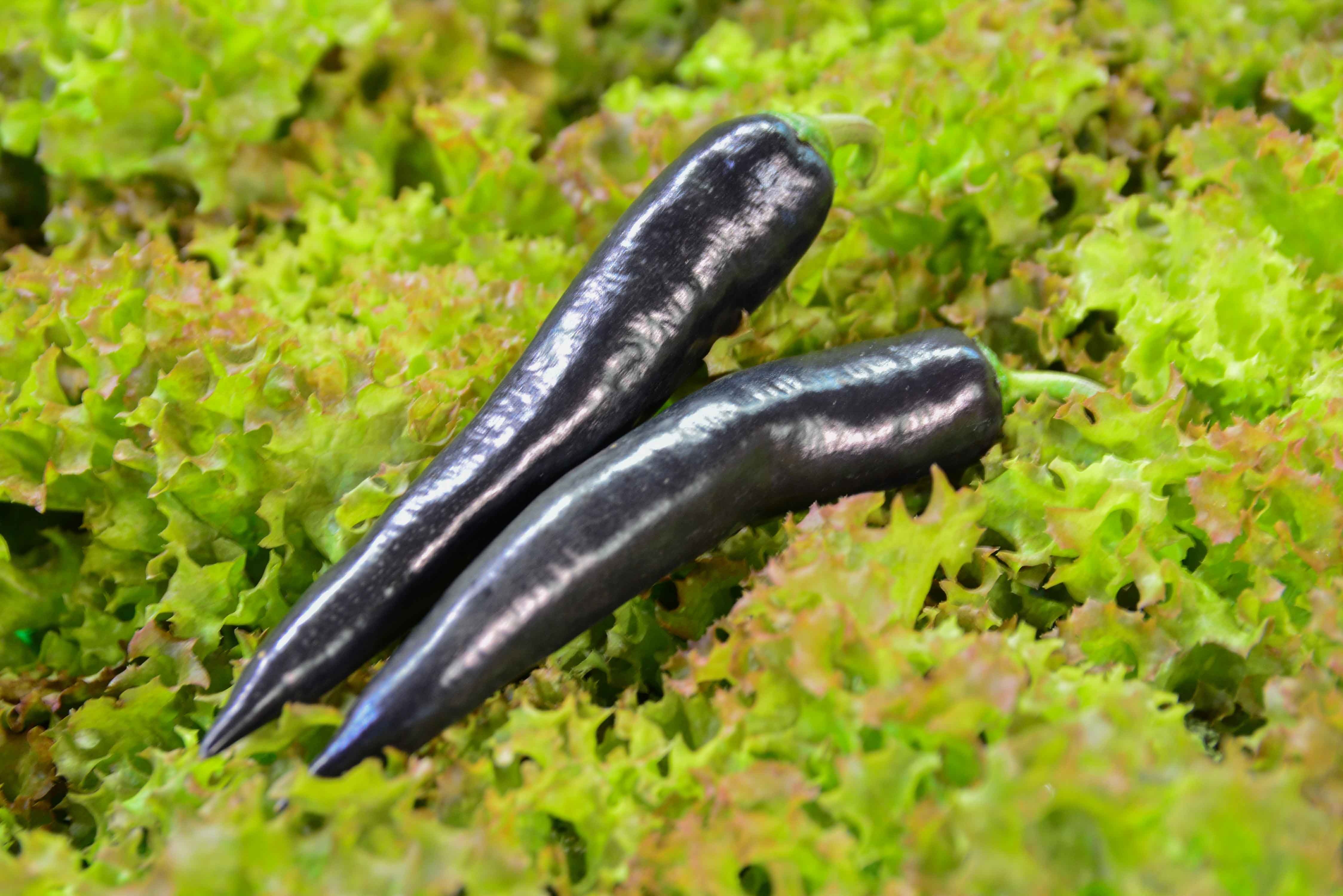 Hội chợ Xanh ảnh 2 Hoi cho Xanh anh 2