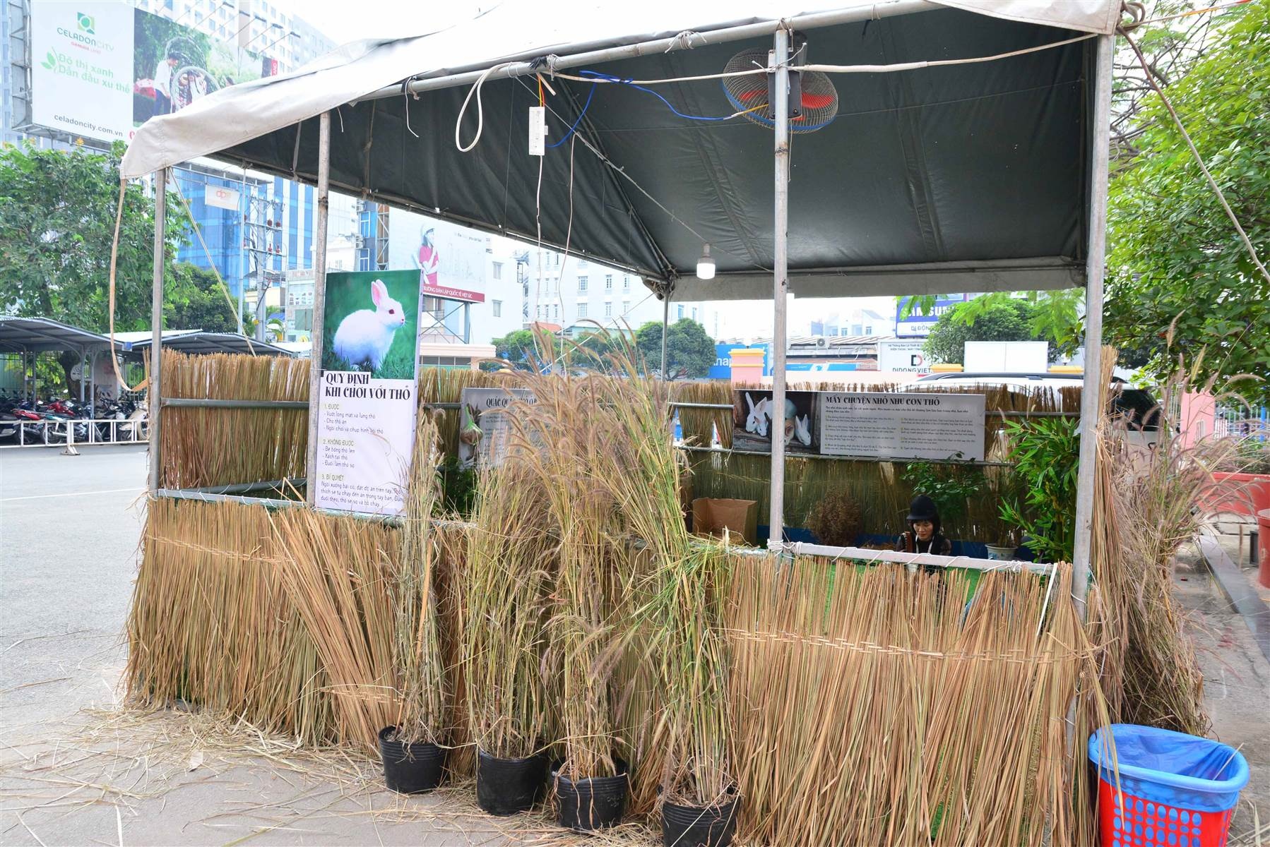 Hội chợ Xanh ảnh 8 Hoi cho Xanh anh 8