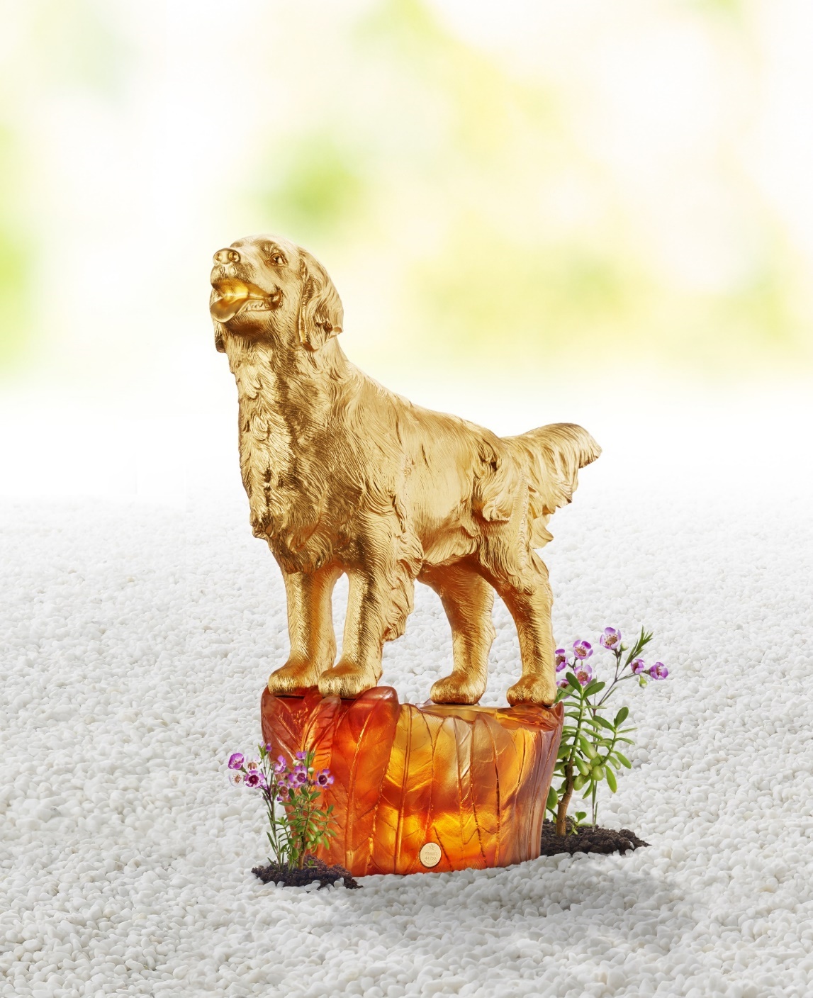 qua tang phong thuy Risis anh 1