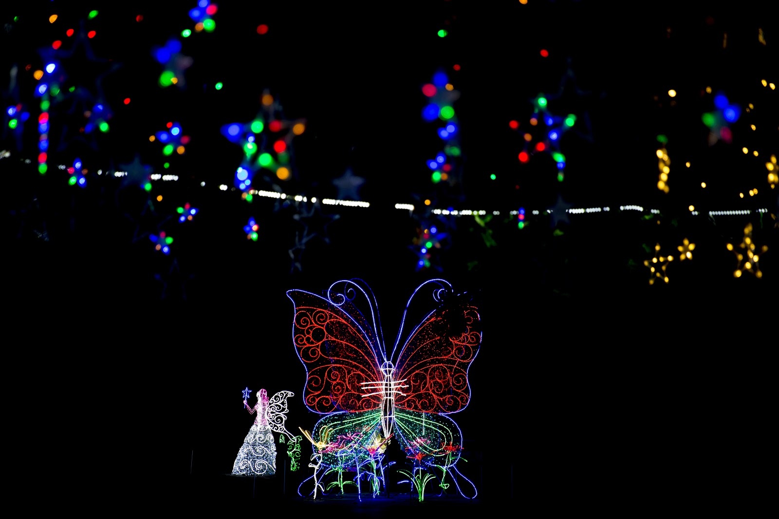 Thien duong Bao Son anh 2