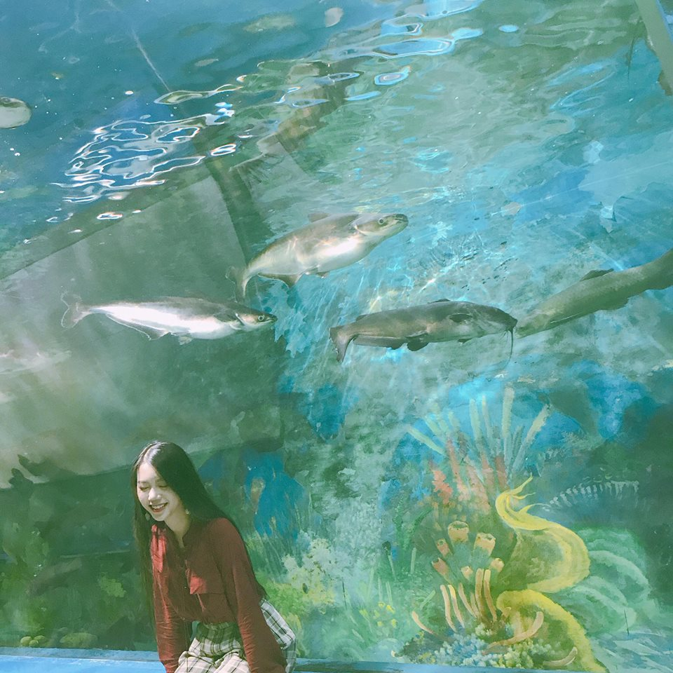 Thien duong Bao Son anh 7