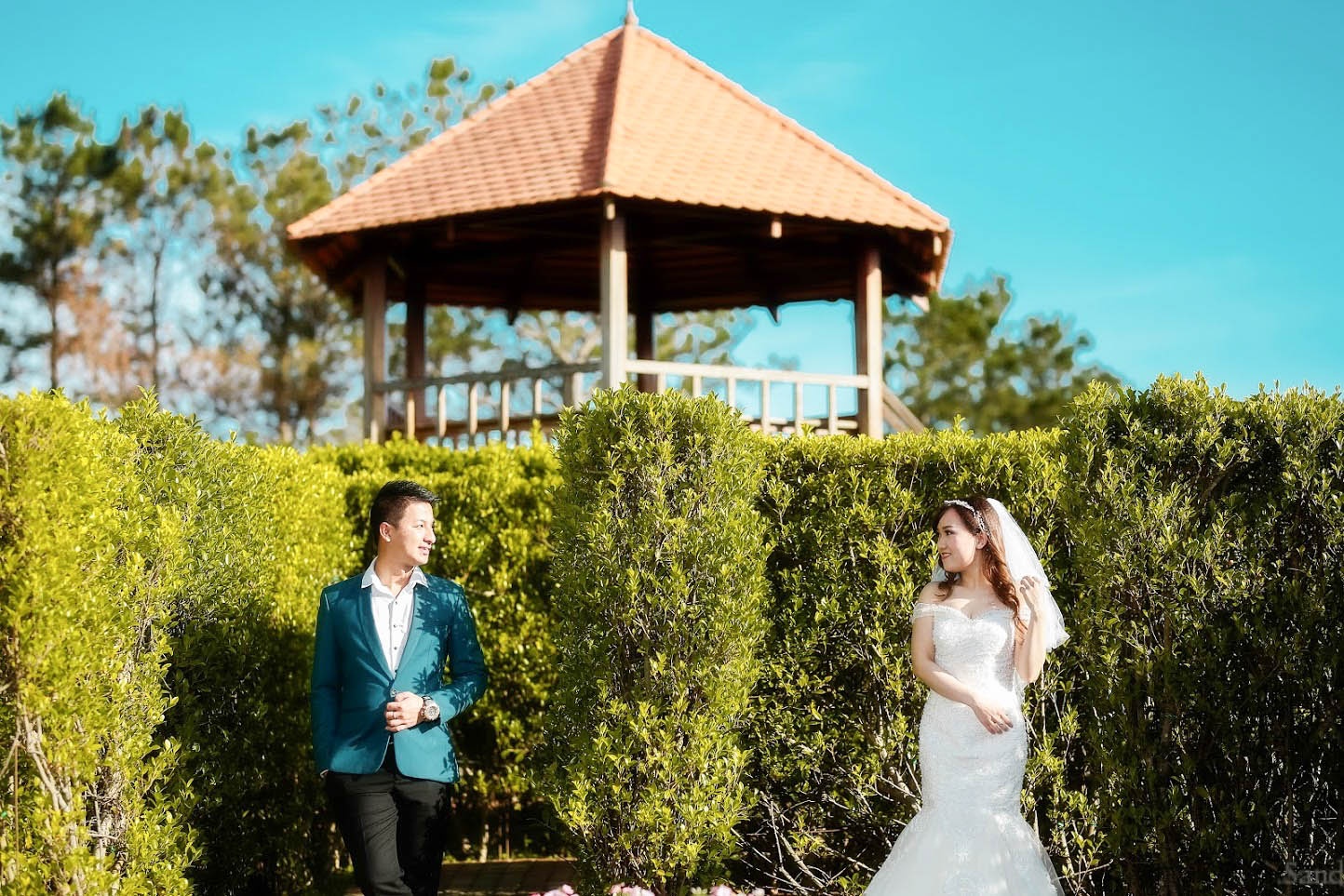 Don Valentine nong nan tai Thung lung Tinh yeu hinh anh