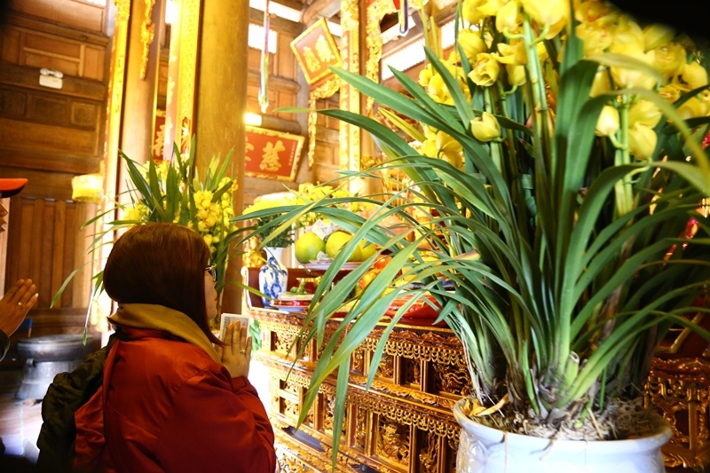 Tap doan Sungroup anh 7