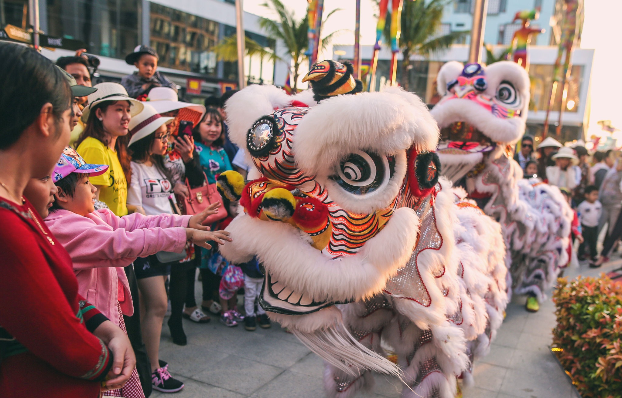 Khong khi le hoi xuan van ron rang tai Da Nang hinh anh