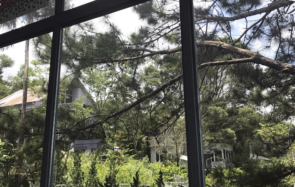 Tren Dinh Doi Trang anh 3