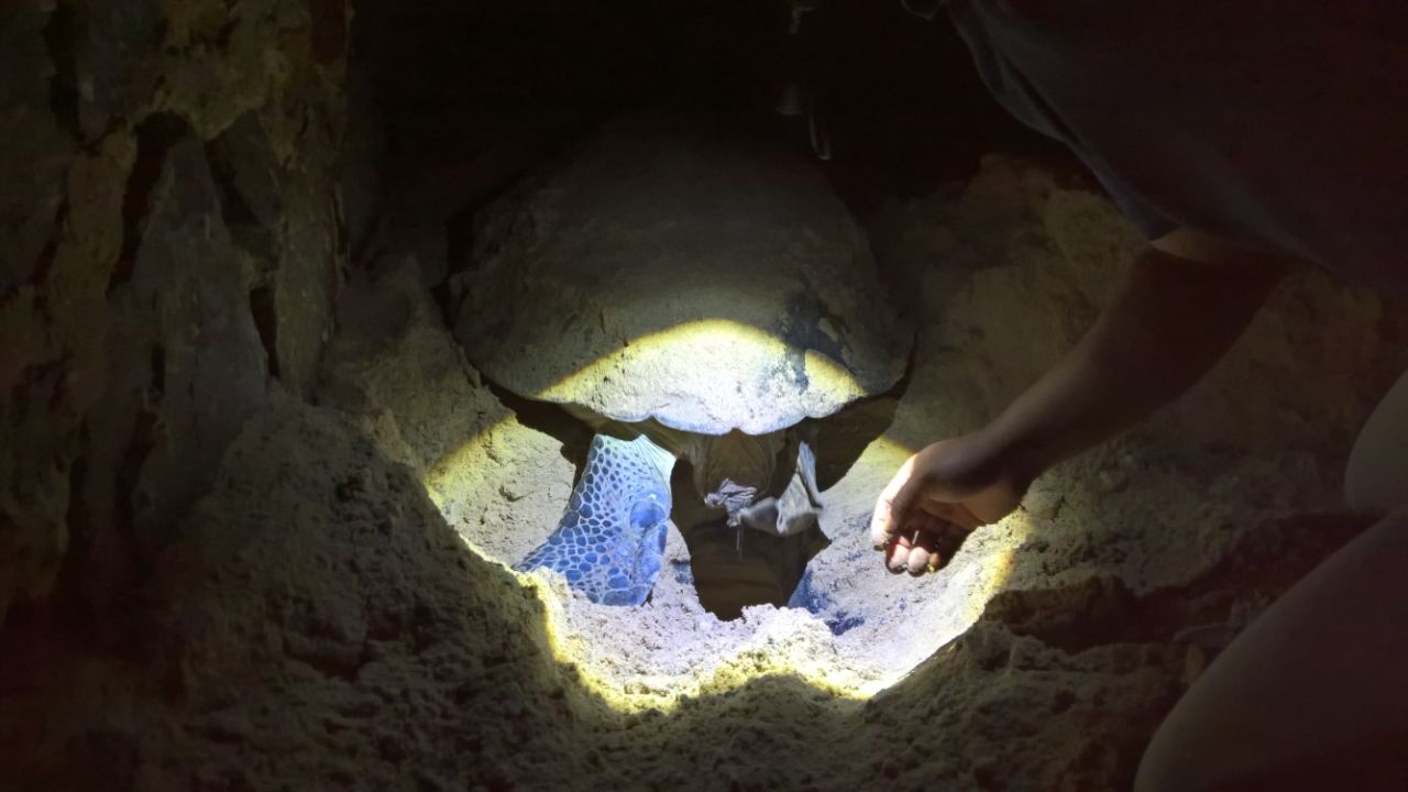 Six Senses Côn Đảo ảnh 2 Six Senses Con Dao anh 2