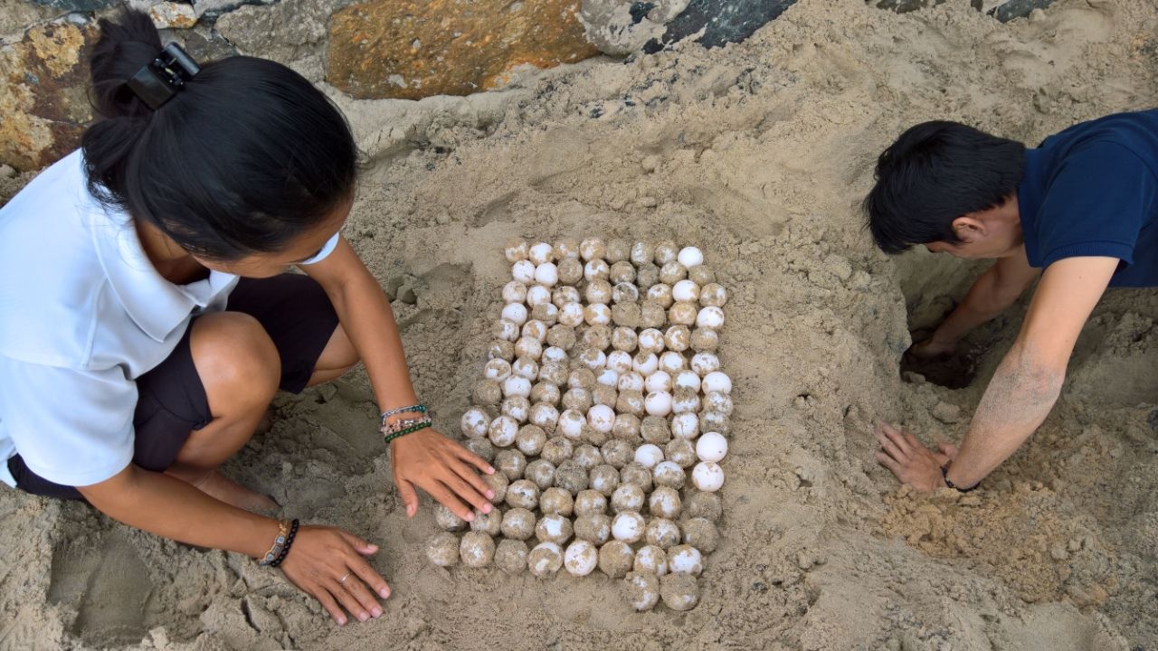 Six Senses Côn Đảo ảnh 3 Six Senses Con Dao anh 3