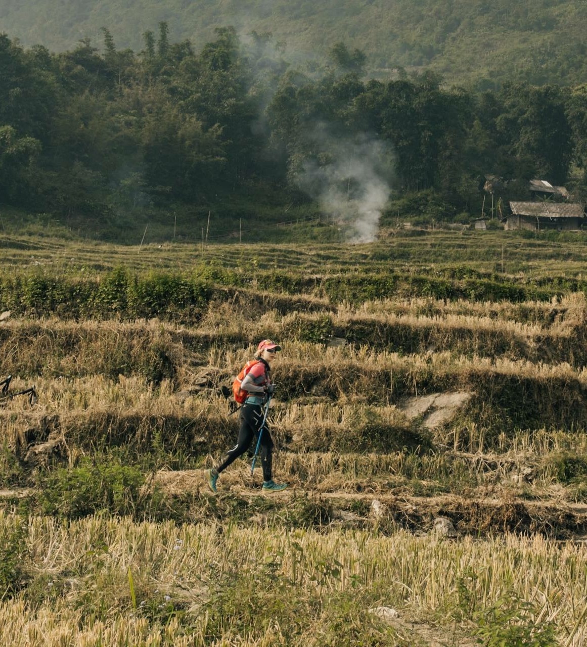 FWD Việt Nam ảnh 2 FWD Viet Nam anh 2