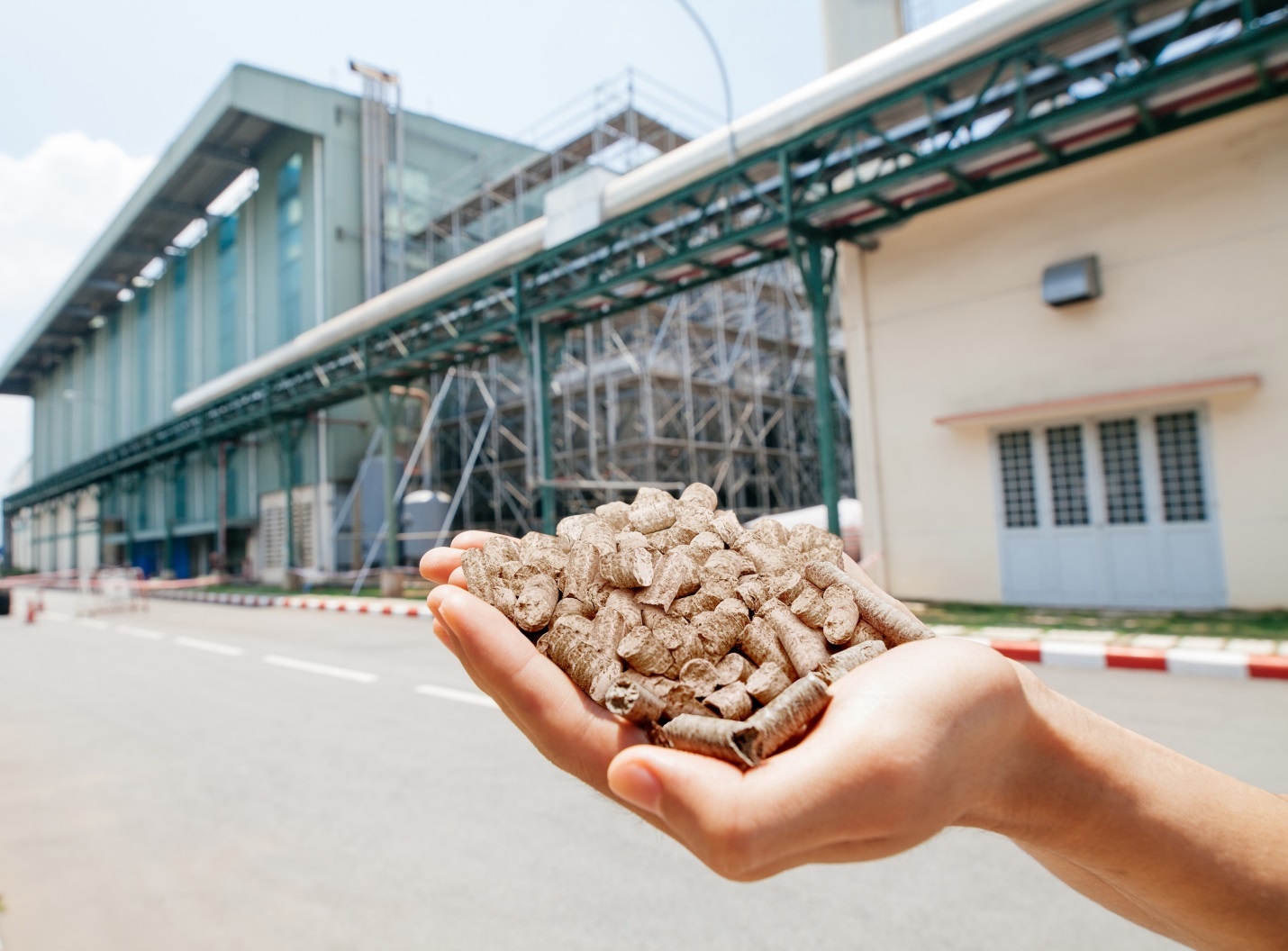 Ajinomoto Viet Nam anh 4