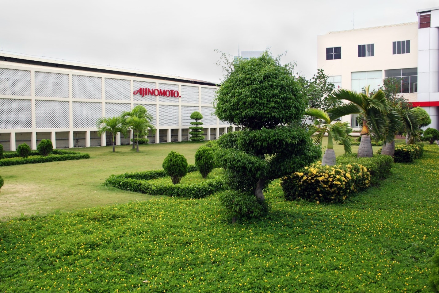 Ajinomoto Viet Nam anh 7