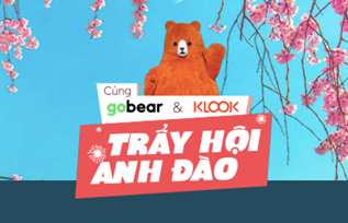 Co hoi du lich voi cuoc thi 'Cung GoBear, KLook tray hoi anh dao' hinh anh