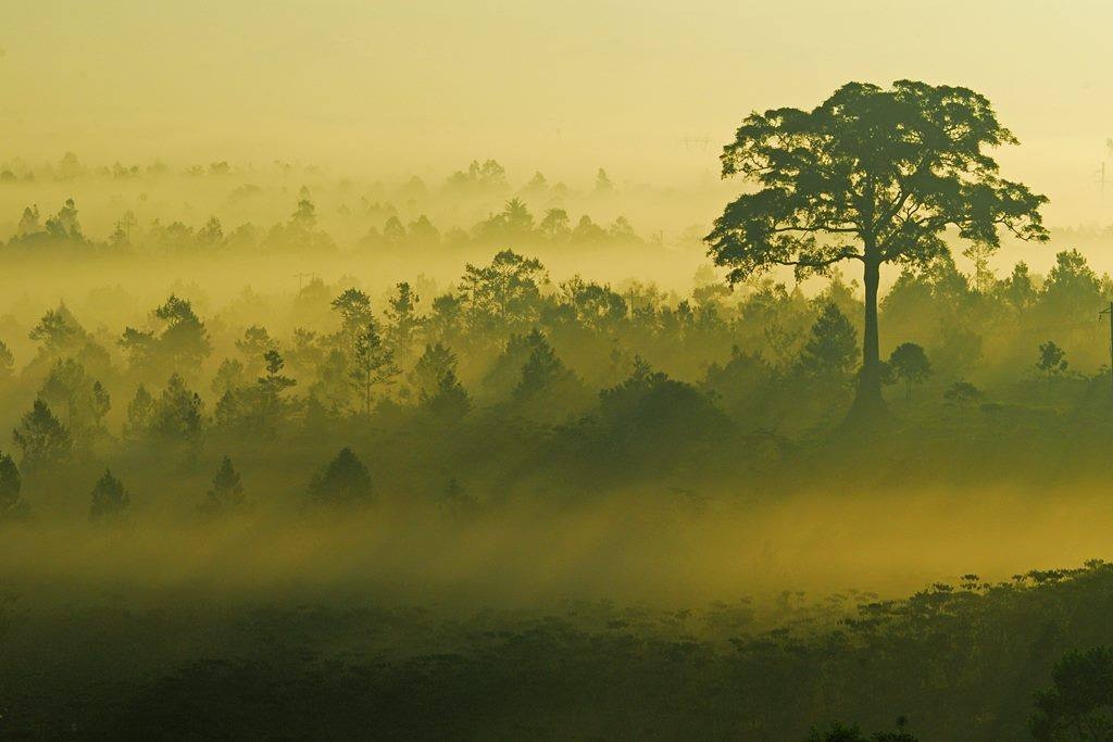 Khong gian thanh binh khien du khach phai dung chan cua Bao Loc hinh anh