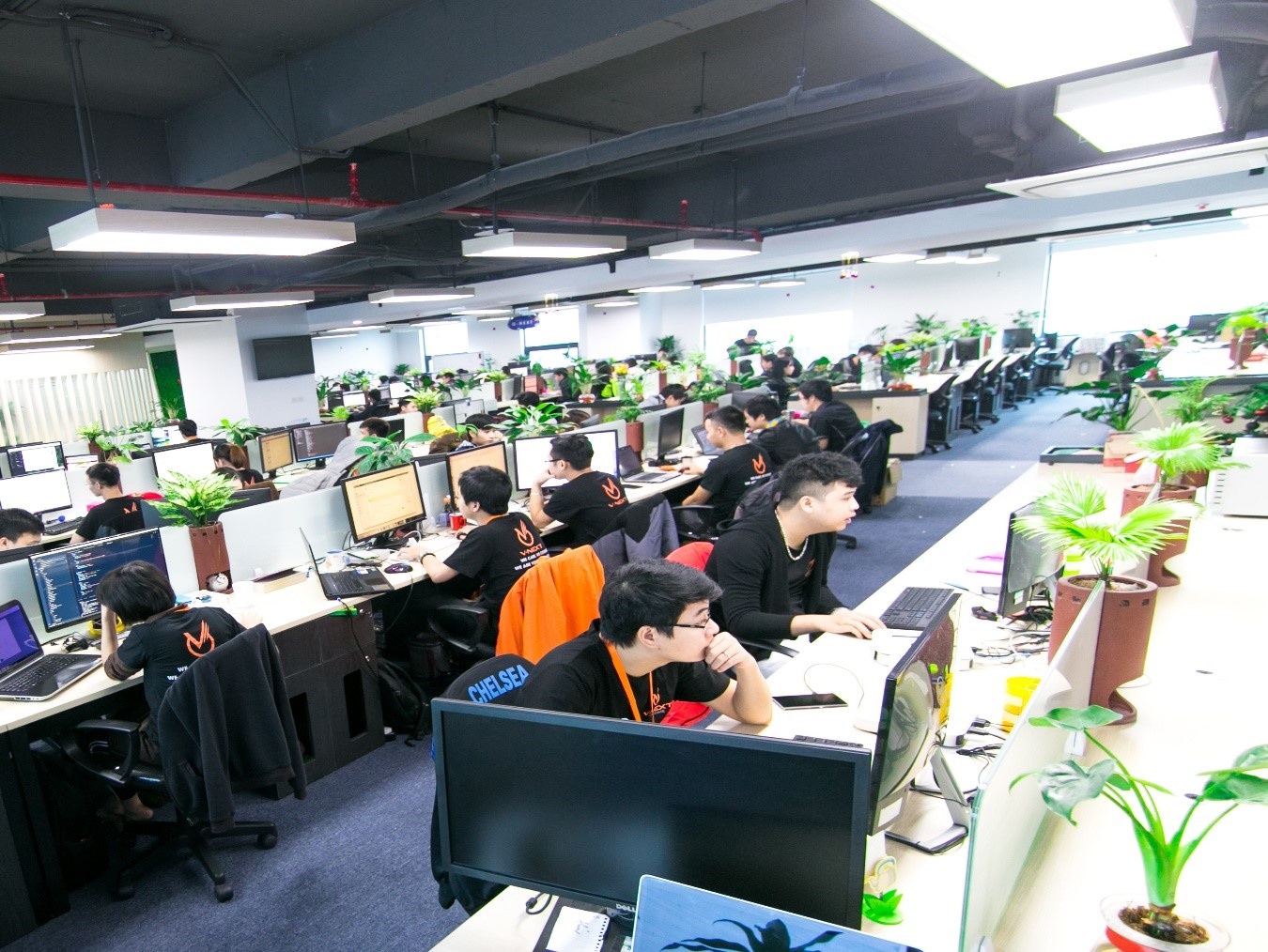 VNext ảnh 1 VNext anh 1