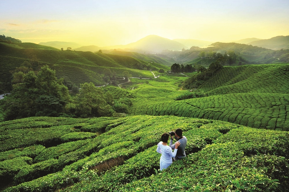 VITM ảnh 3 VITM anh 3