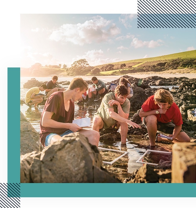 trien lam Giao duc New Zealand anh 8