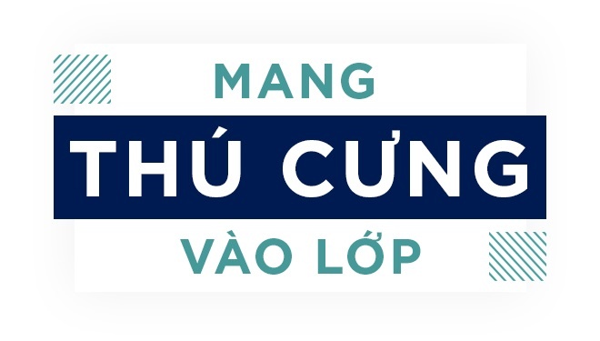 trien lam Giao duc New Zealand anh 4