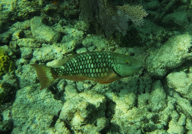 Galaxy S9/S9+ ảnh 5 Galaxy S9/S9+ anh 5