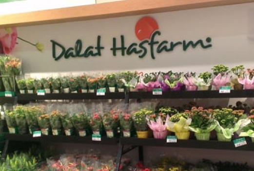 Dalat Hasfarm ra mat website moi voi nhieu tinh nang noi bat hinh anh