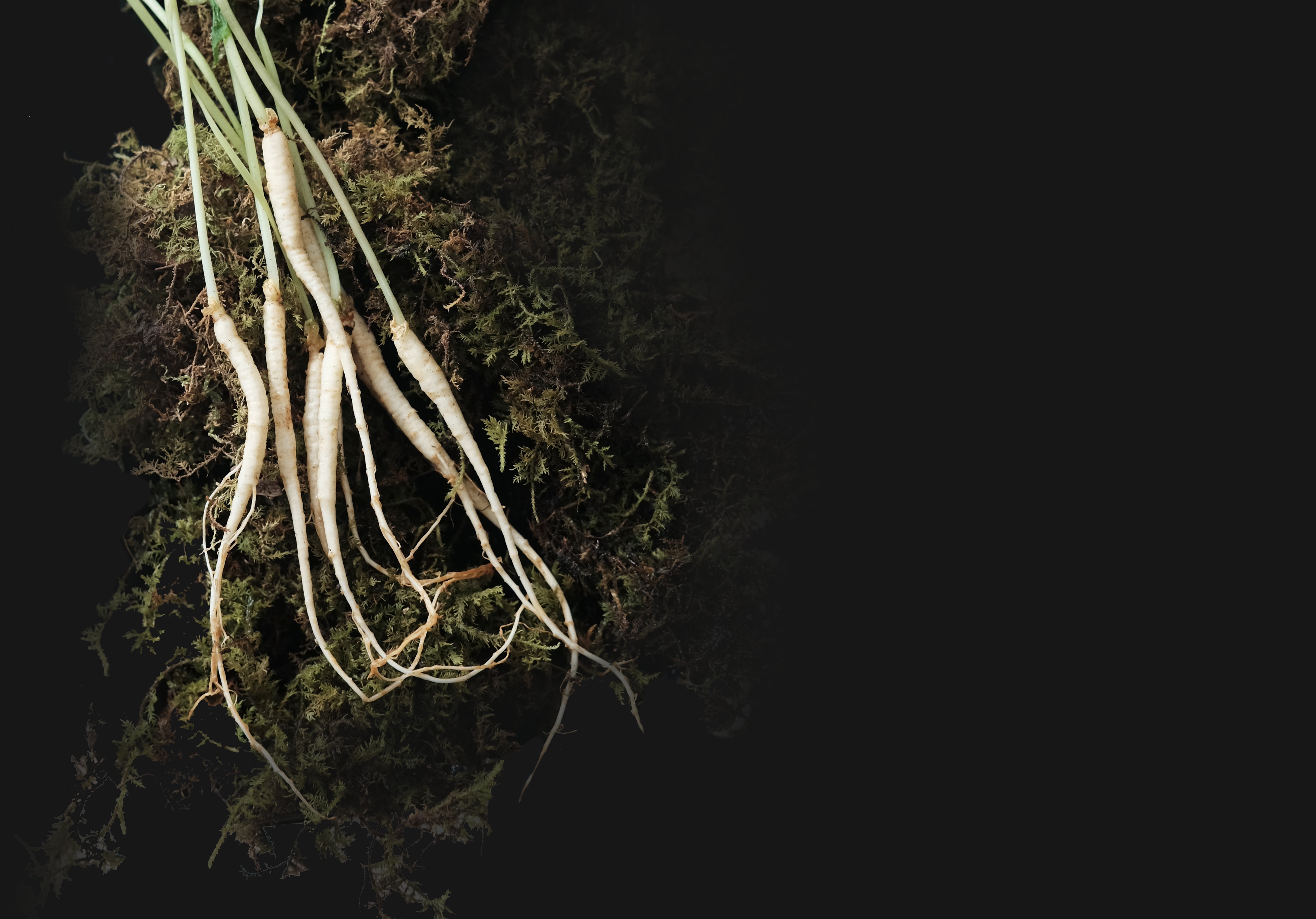 InterContinental Hanoi Landmark72 anh 1