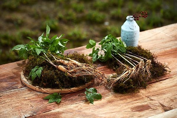 InterContinental Hanoi Landmark72 anh 2