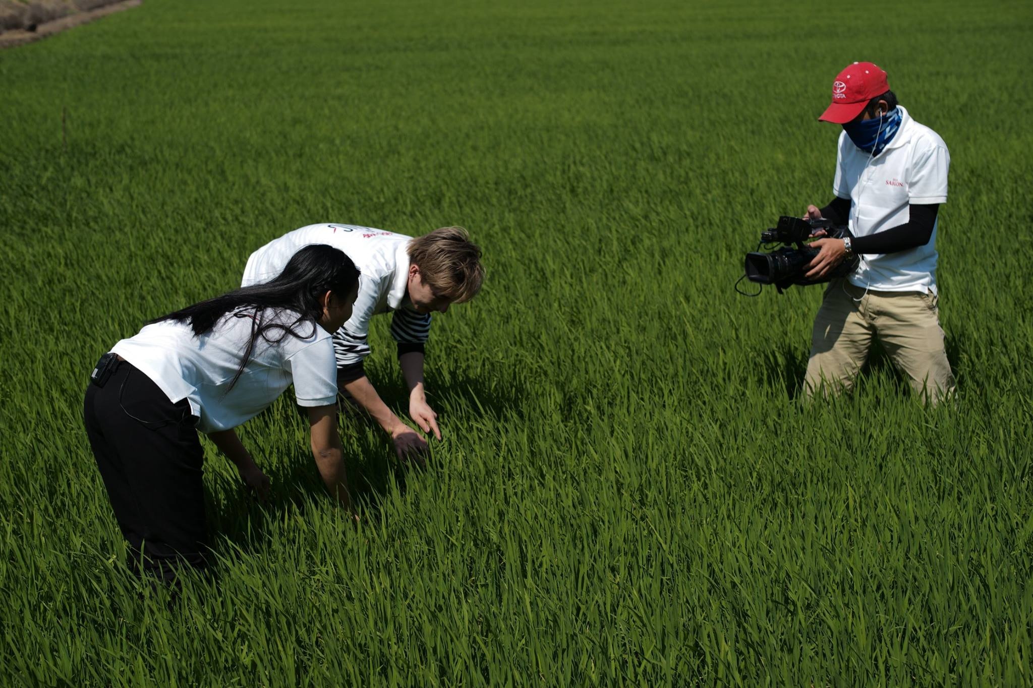 Uoc mo tu lang anh 2