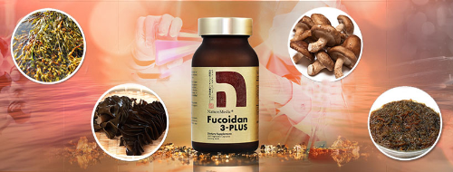 Fucoidan3 - plus anh 3