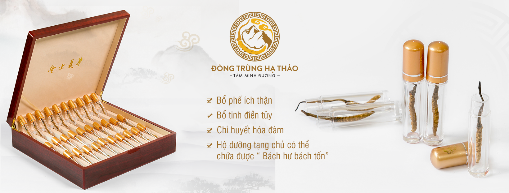 dong trung ha thao anh 3