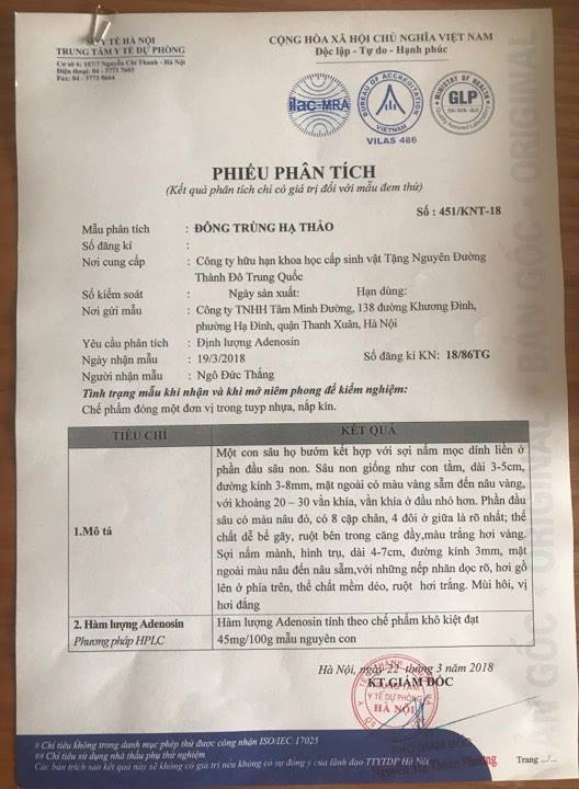 dong trung ha thao anh 4