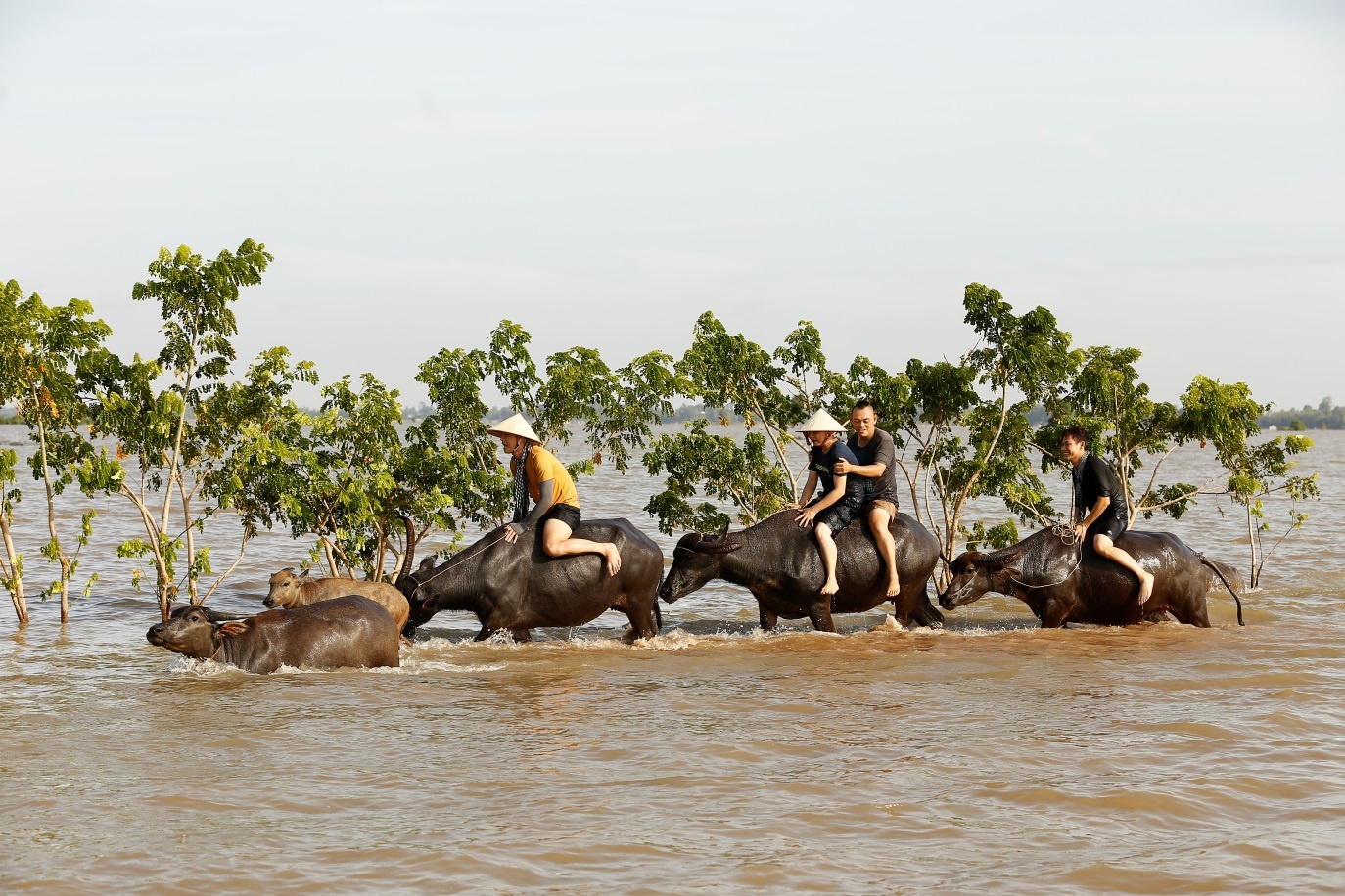 Bo oi minh di dau the anh 1