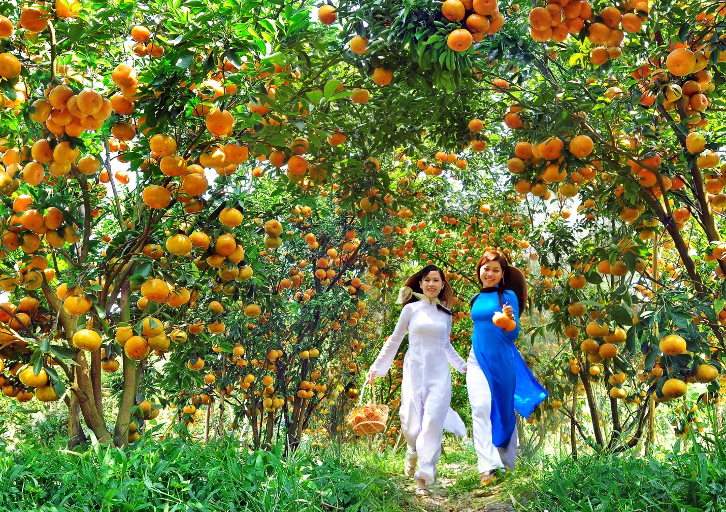 Gioi thieu hon 30 lang nghe va san vat cua Dong Thap tai TP.HCM hinh anh