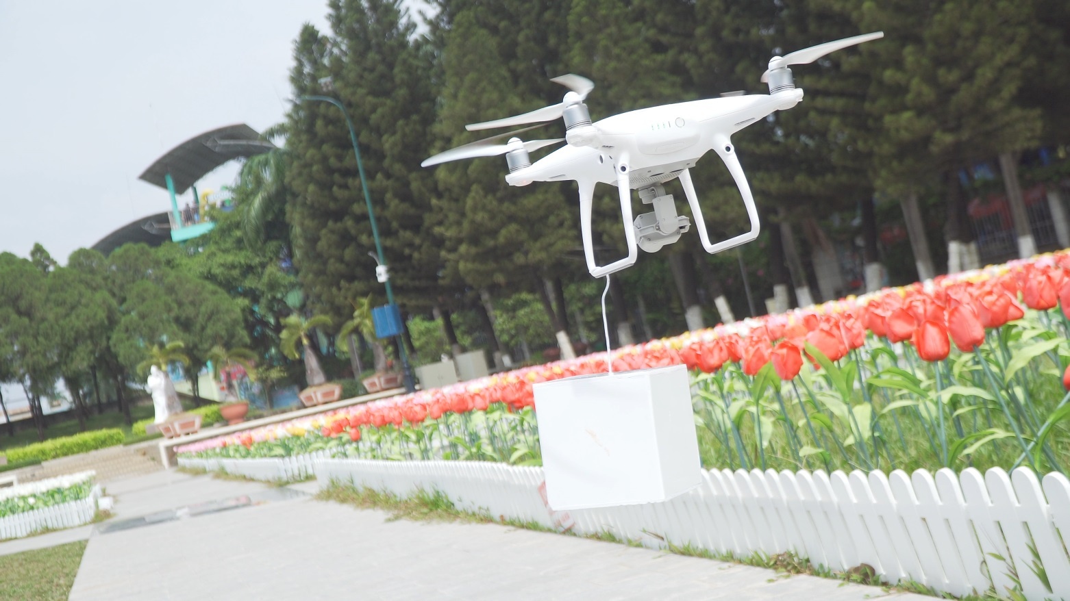 CVVH Đầm Sen ảnh 4 CVVH Dam Sen anh 4