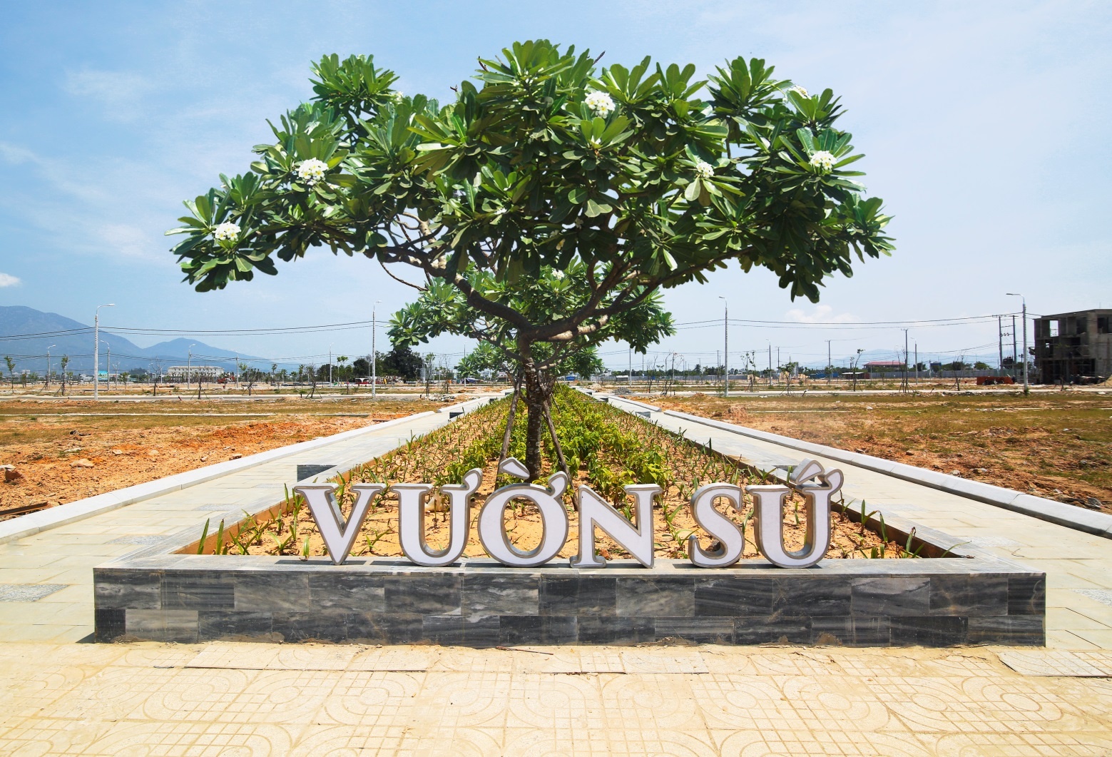 Dat Xanh Mien Trung anh 5