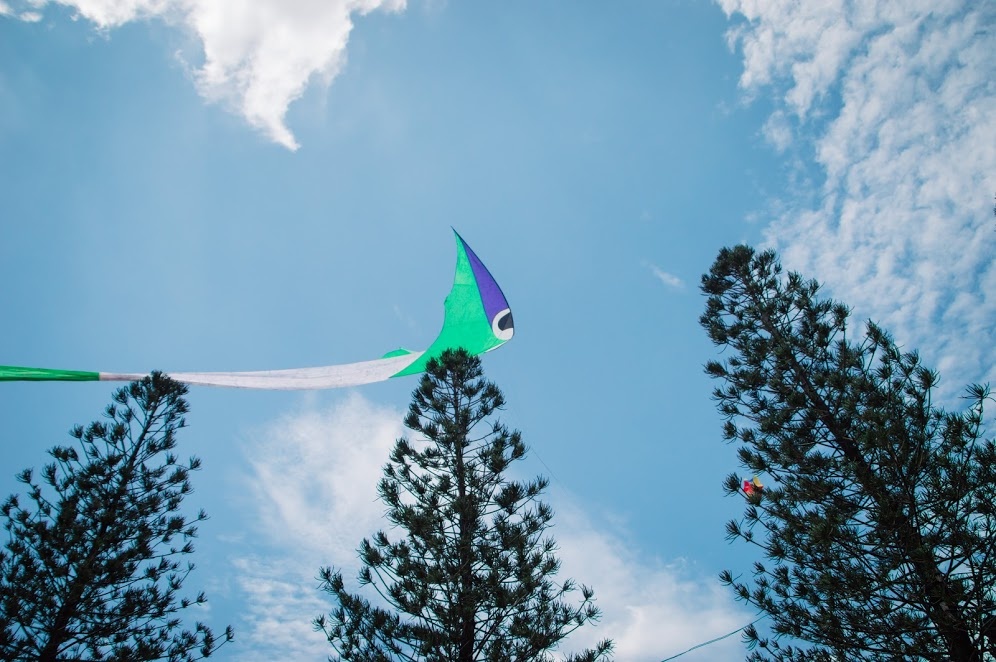 Đầm Sen ảnh 2 Dam Sen anh 2