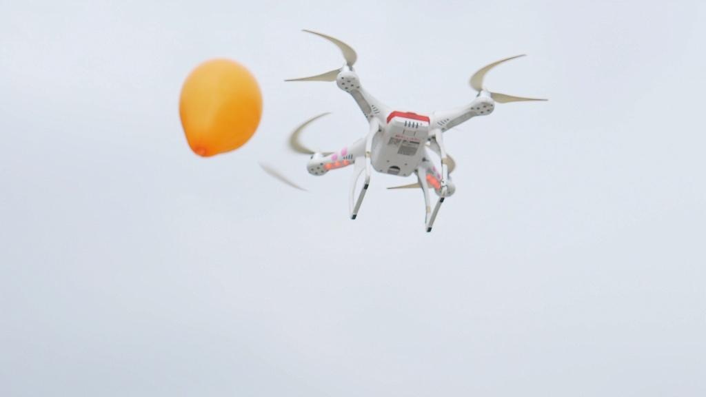 Đầm Sen ảnh 3 Dam Sen anh 3