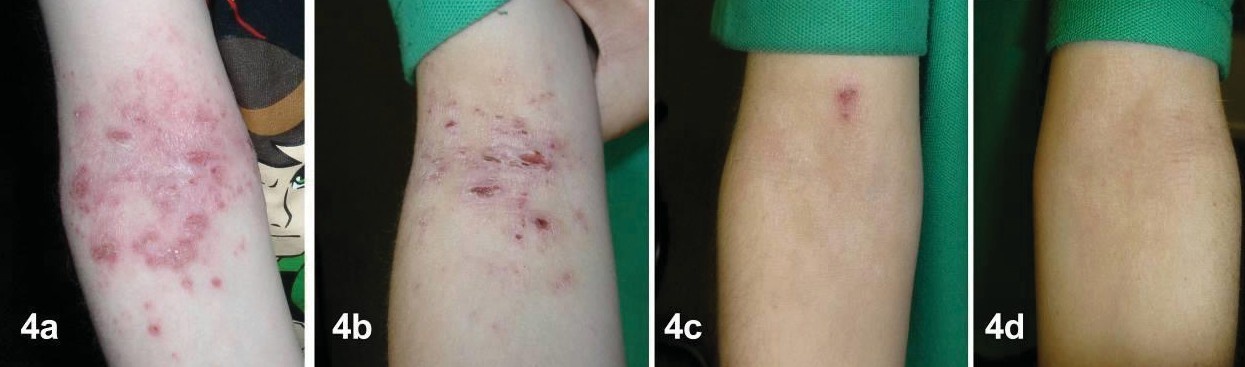 Dr. Michaels ảnh 2 Dr. Michaels anh 2