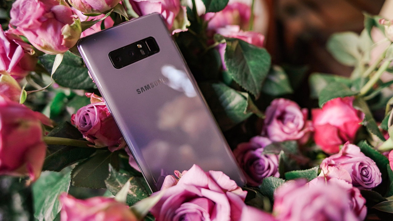 Bach Long Mobile anh 4